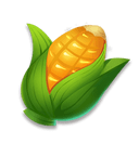 Plump Corn